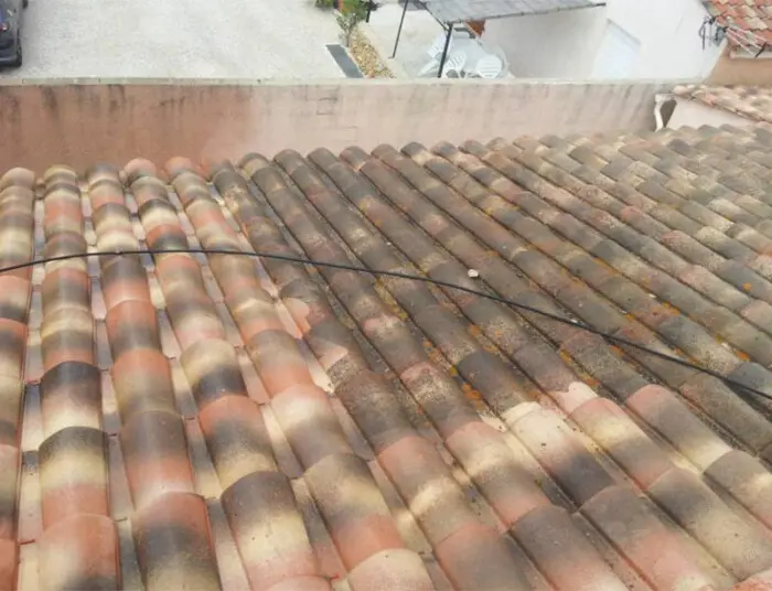 Devis nettoyage de toiture Arvert